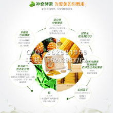 健康保健食品价格策略与批发渠道探析